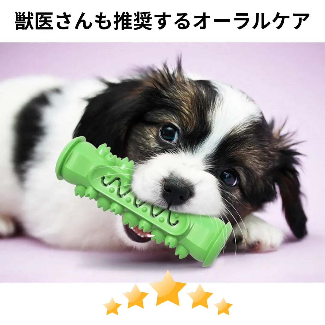 FreshBreath™ 口臭リフレッシュ