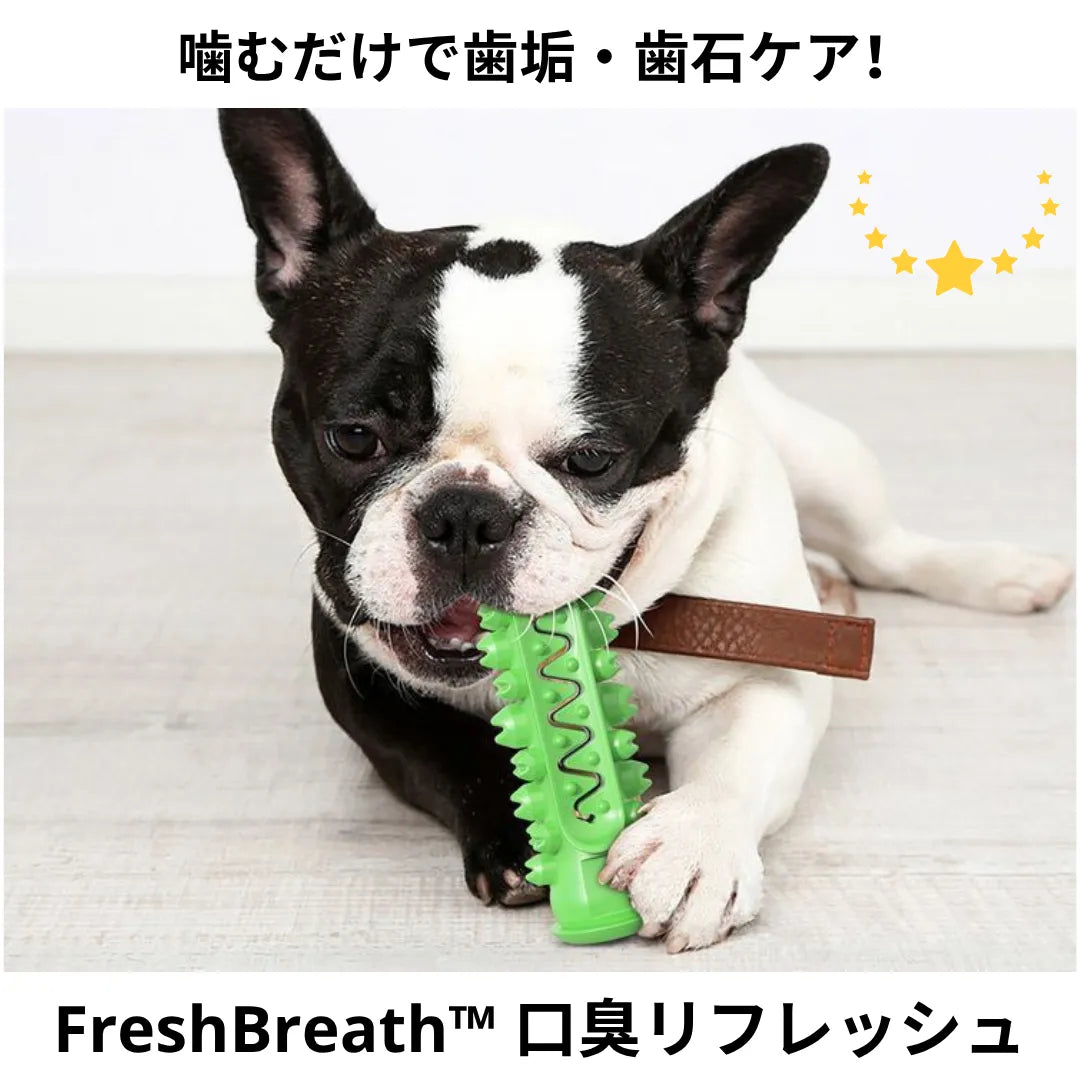 FreshBreath™ 口臭リフレッシュ