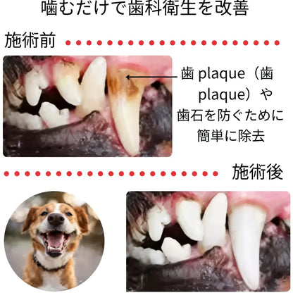 FreshBreath™ 口臭リフレッシュ
