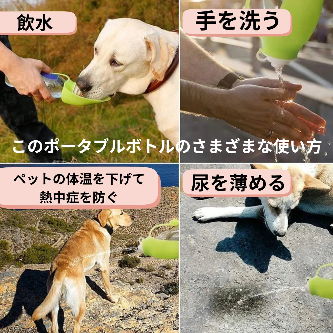 AquaPet™ お散歩給水ボトル [在庫限り]