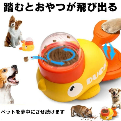 SmartSnacker™ – スマートスナッカー【在庫限定】